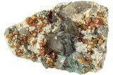 Spessartine Garnets and Smoky Quartz on Feldspar - China #238159-1